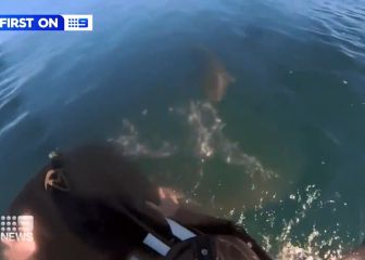 La angustiosa secuencia en la que un surfista logra escapar de un tiburón en Australia