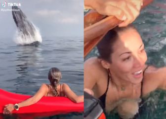 El vídeo extremo de la semana: una ballena le da el susto de su vida