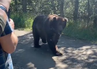 Un grupo de excursionistas ricos graba a su piloto salvándoles de un oso grizzly