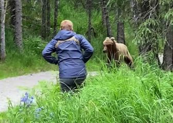 Graban una polémica 'no carga' de un oso sobre un excursionsita