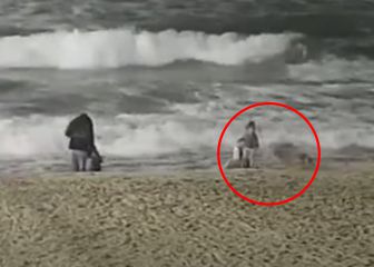 Una cámara de surf graba a un coyote atacando a un niño