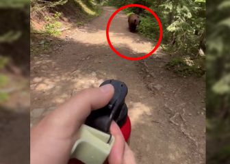 Un excursionista graba su 9º encuentro con un oso
