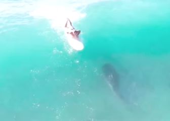 Surf por el mundo: tiburones, Cantabria, Nadia Erostarbe...