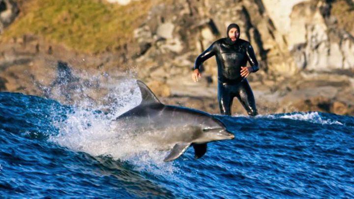 Grabar a delfines surfeando olas gigantes, tan arriesgado como difícil