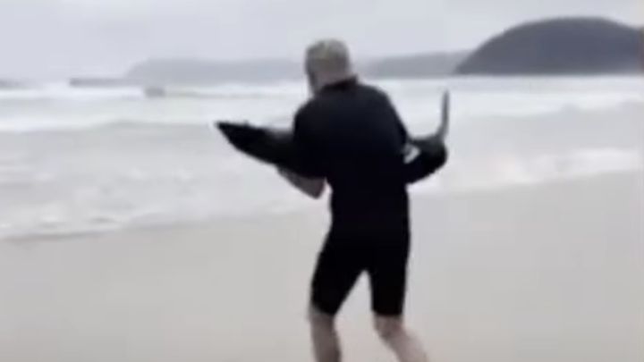 Un surfista carga un tiburón en brazos y lo devuelve al mar