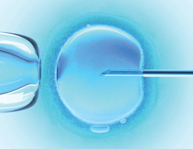 reproducción asistida