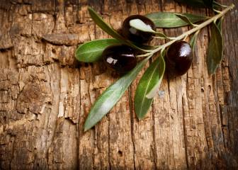 La ingesta de grasas de la dieta mediterránea no engordan