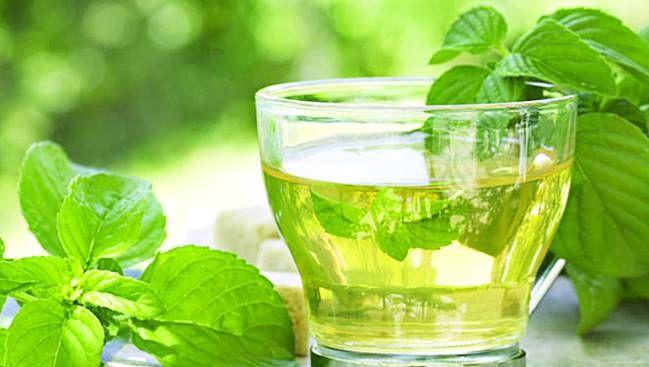 El té verde, un magnífico antioxidante.