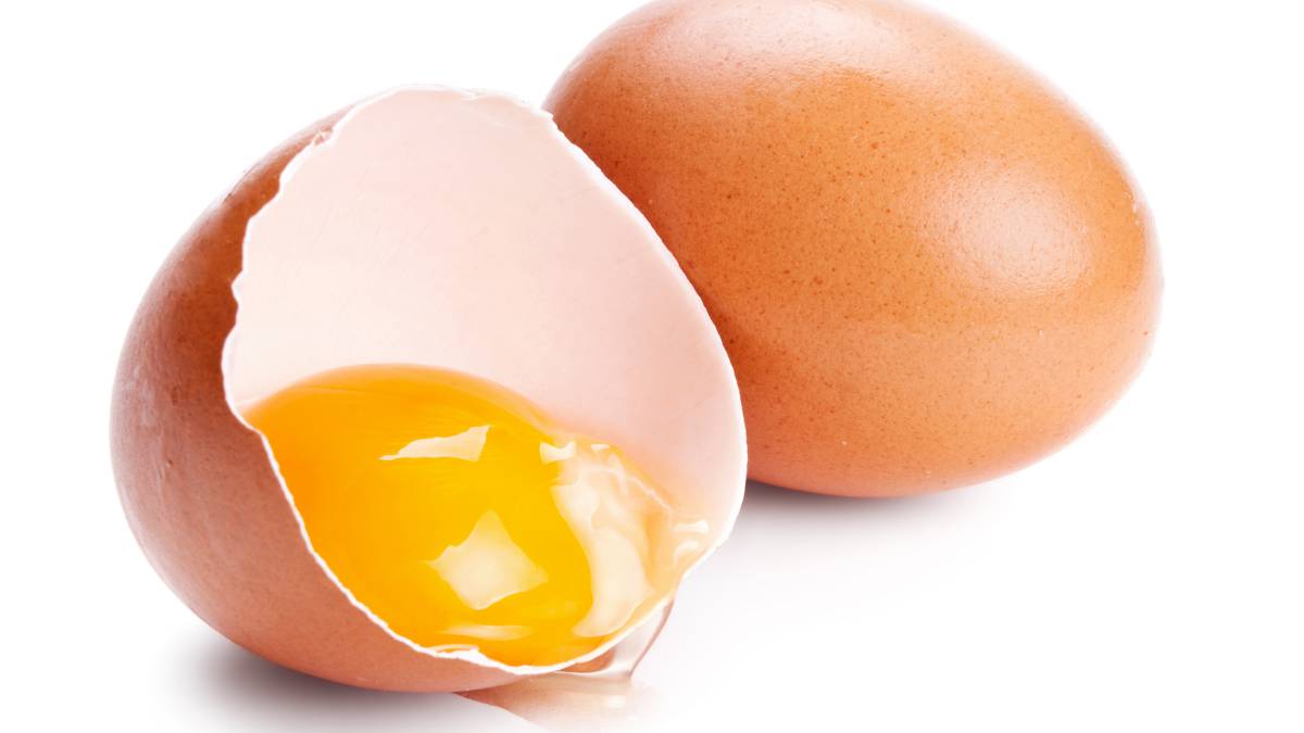 Resultado de imagen de huevos