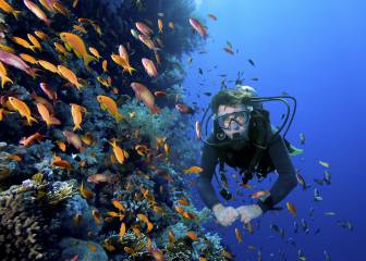 Llega el verano, ¿por qué no pruebas el buceo?
