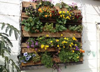 Así se hace un huerto urbano