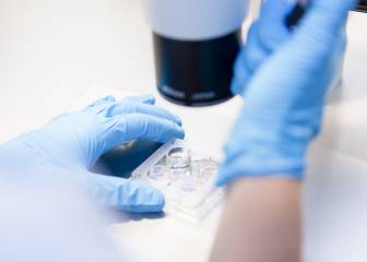 España está a la cabeza en reproducción asistida en Europa