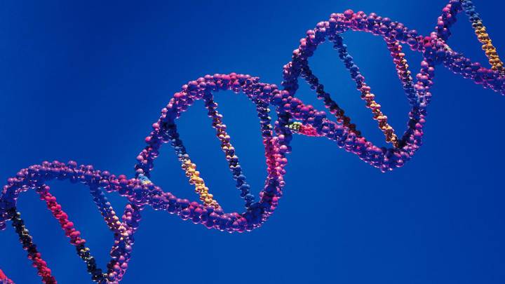 Analizar la herencia genética es posible con una nueva plataforma