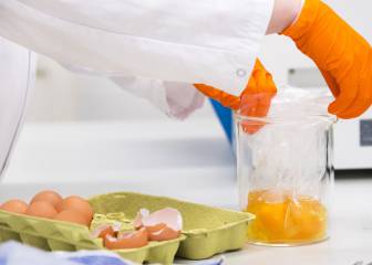 Cuál es el problema con los huevos con fipronil