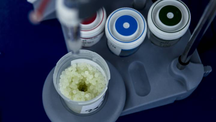 Tecnología basada en huevos de caracol para la renovación celular