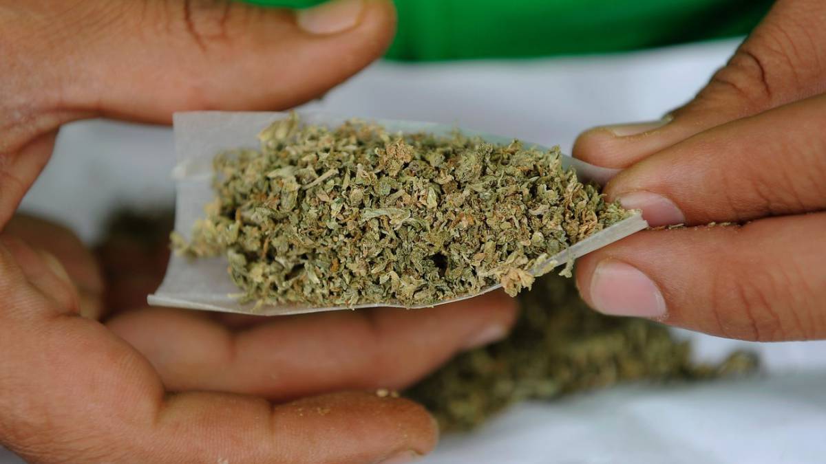 Puede servir la marihuana para recuperarnos de un entreno? - AS.com