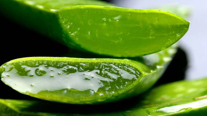 Aloe Vera bebible: beneficios múltiples para el organismo