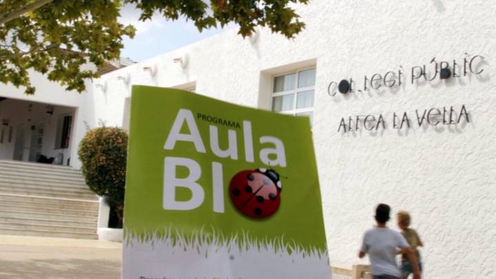 Alimentación ecológica para los más pequeños desde la escuela