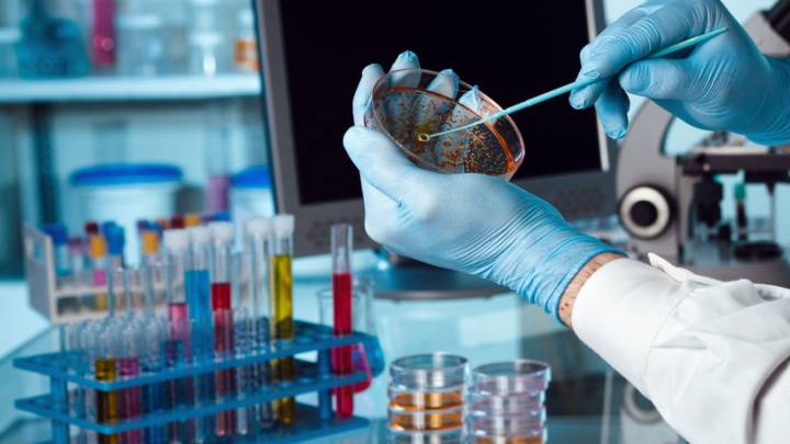 La innovación, necesaria para comunicar los distintos campos de la biotecnología