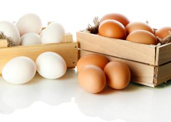 Qué significa cada número en el etiquetado de los huevos: país de origen, gallinas camperas...