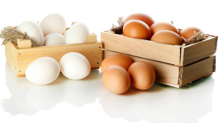 Qué significa el código impreso que aparece en los huevos