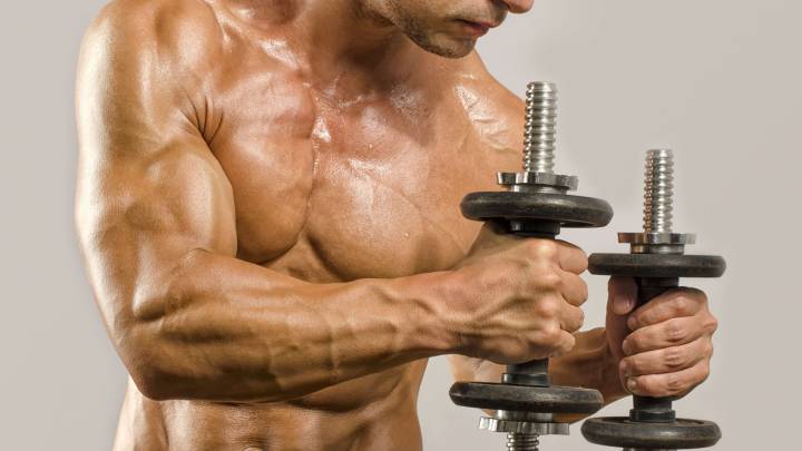 Principios básicos que debes seguir para definir tus músculos