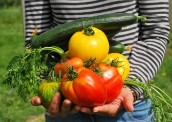 ¿Qué es la comida orgánica? Todas las respuestas