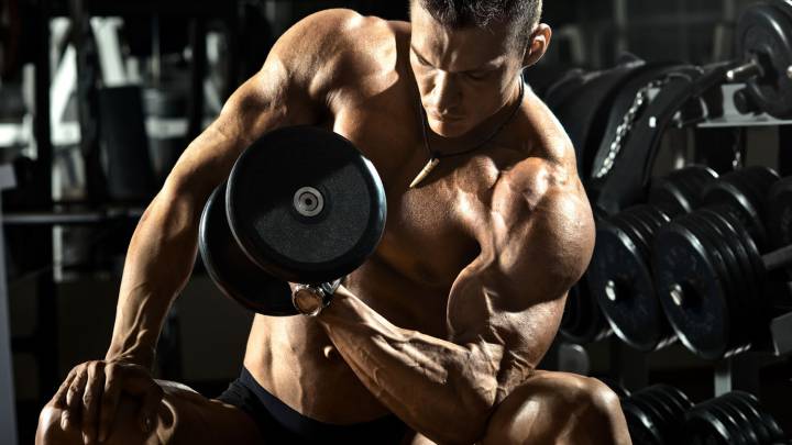 ¿Cuánto tardan los músculos en recuperarse tras un entrenamiento?