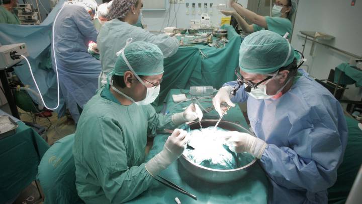 El mieloma múltiple, la enfermedad líder en trasplantes autólogos en España