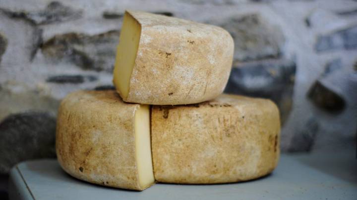 Alerta sanitaria: los 3 quesos que no se deben consumir