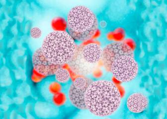 Día Internacional del VPH: la protección es clave