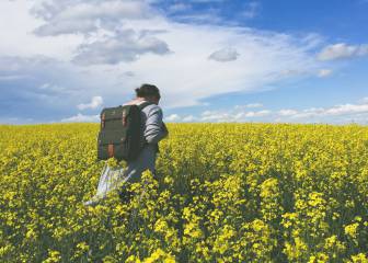 La primavera o el año nuevo persa como ritual de cambio