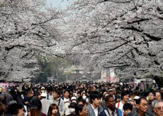 La alergia este año será más leve, dicen los expertos