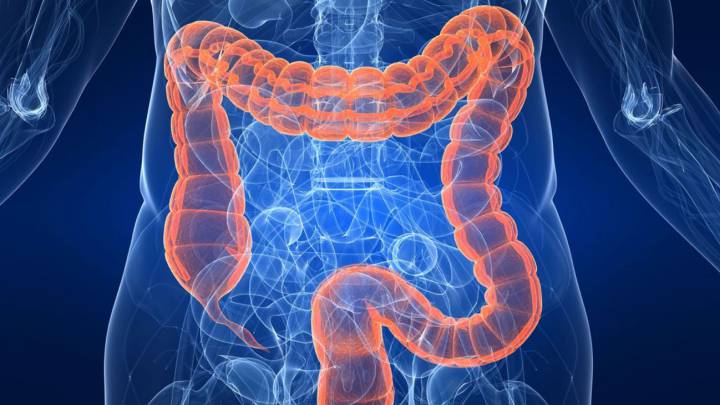 Hidroterapia de colon, un tratamiento cada vez más común