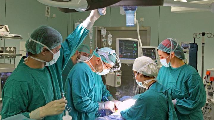 Superar los 5.500 trasplantes, el reto de la ONT los próximos 5 años