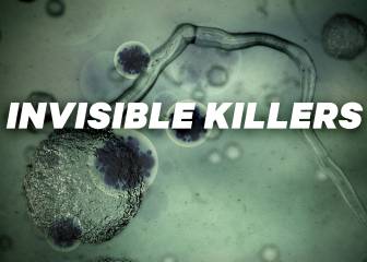 Viruela, ébola y gripe, los tres virus más mortales