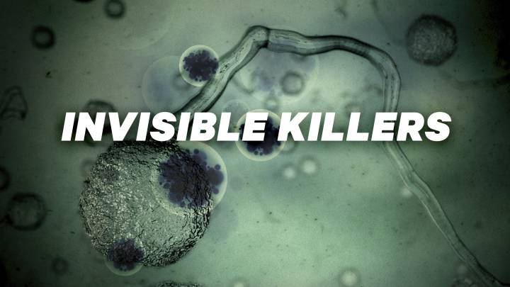 Viruela, ébola y gripe, los tres virus más mortales