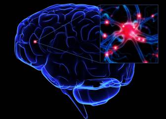 Cómo prevenir la afectación cerebral de las mucopolisacaridosis (MPS)