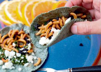 Un colegio asturiano prepara un menú con gusanos