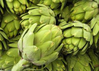 Si quieres estar más sano, deberías comer más alcachofas