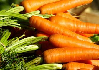 zanahorias moreno verano