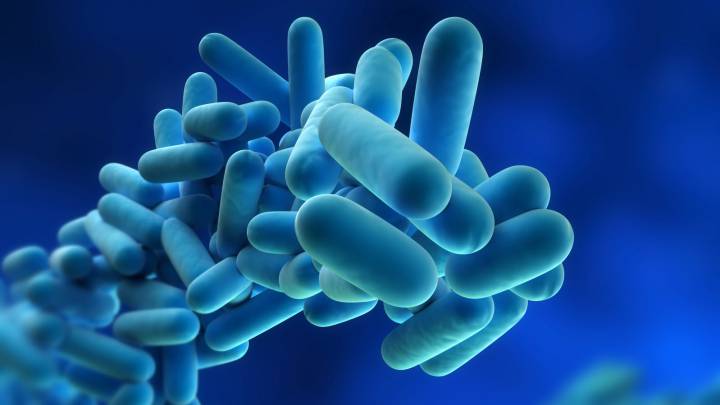 Alerta sanitaria: 6 afectados por el brote de legionela en Vitoria