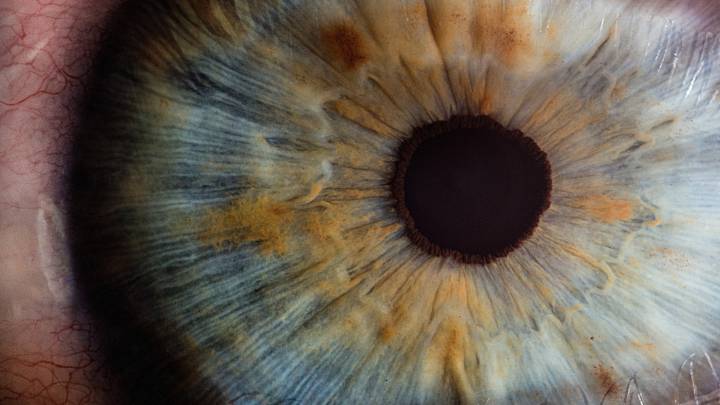 ojo, alzheimer, enfermedades oculares, investigación