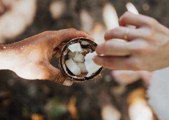 Una experta de Harvard tilda el aceite de coco de “puro veneno”