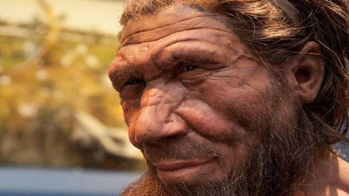 EVOLUCIÓN: Los neandertales tenían un 20 % más capacidad pulmonar - AS.com