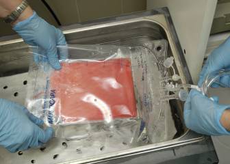 día mundial de donantes de médula ósea, donantes, leucemia, linfoma, mieloma, salud