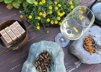 Maridaje del siglo XXI: vinos blancos de Rueda con insectos