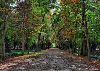 Técnicas de mindfulness para encarar el otoño