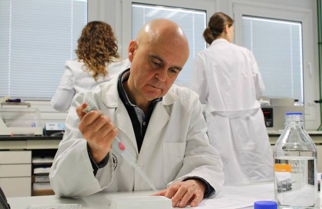 aceite de oliva virgen, beneficios, propiedades, salud