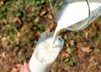 intolerancia alimentaria, alergia alimentaria, salud